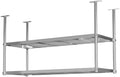 XPLKQXE Stainless Steel Ceiling Shelf, Hanging Industrial Ceiling Mount Storage Rack, Kitchen Wall Mounted Plant Stand/Wall Decor for Bar Cafe Kitchen(Silver-2lay,120x40x120cm)
