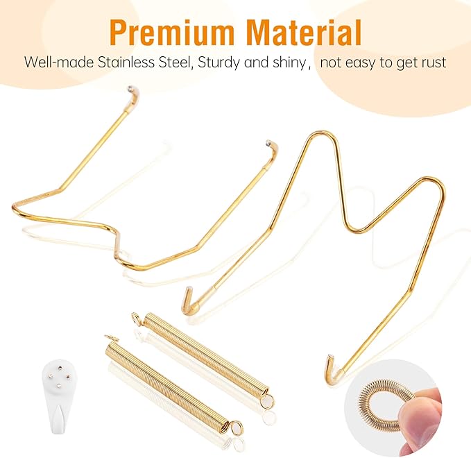 Bilillo 2 Pack Plate Hangers for The Wall, Suitable for 10-14 inch Decorative Plate, Stainless Steel Invisible Heavy Duty Wire Plate Holder with Wall Hooks, Plate Hangers for Displaying Plates