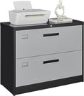 Letaya File Cabinet with Lock-Lateral 2 Drawer Metal Filing Cabinets-Organization Storage Cabinets for Home Office-Hanging Letter/Legal/F4/A4 Size (2 Drawer-Grey Black)