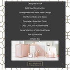 BLU MONACO Rose Gold Desk Organizer Set | 5-Piece Metal Desktop Organization Kit With File Holder, Magazine Rack, Pen Cup, Sticky Note Holder and Letter Sorter | Stylish Office Accessories