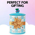 Silver Buffalo Sanrio Hello Kitty and Friends Cinnamoroll Cherries Blue Checkered Ceramic Cookie Snack Jar (Large)