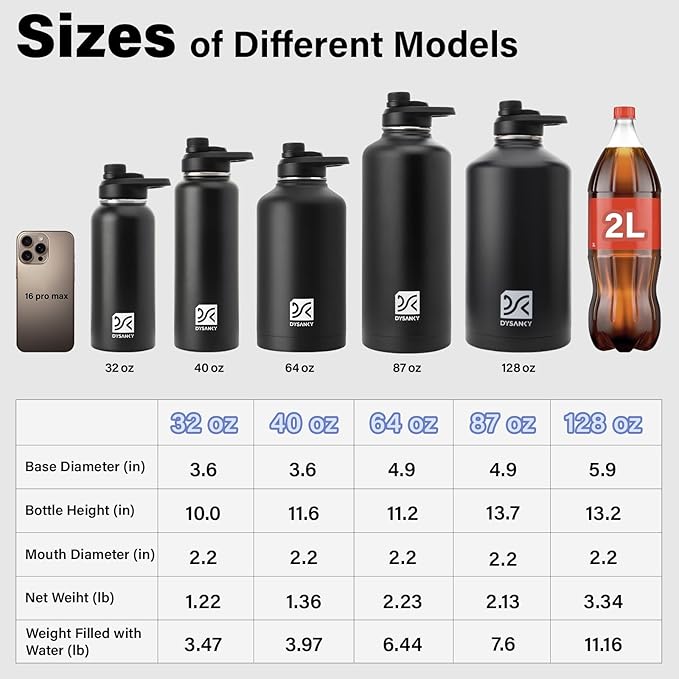 Insulated Water Bottle | Thickened Stainless Steel Vacuum Metal | Portable Sports Half Gallon Large Water Jug for Gym and Hiking with Straw, Carrier Bag, Handle Strap | BPA-Free 64 oz