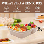 4 pack Bento Lunch Box, 2 Compartments Meal-Prep Containers with Lids, Microwave & Dishwasher Safe, Reusable Divided Food Food Storage Containers -Stackable for Travel, School and Work