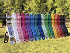 Extreme Clothespins | Buffalo Brown | Solid 304 Stainless Steel | 20 Pack | Heavy Duty | Anti-Rust | Camping Pins | Clothes Pins | Chip Clips | Lifetime Product | No Plastic Parts | Made in Italy