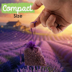 EcoKiwi Cedar & Lavender Sachets – 20 Sachets for Home Fragrence and Fresh Scents, Cedar & Lavender Sachet for Drawers and Closest, Dual-Purpose Sachet to Stop Clothes Damage and Closest Freshness