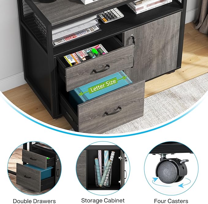 Tribesigns Modern File Cabinet with Drawers for Letter-Sized File and Door, Lockable lateral Filing Cabinet Printer Stand with Storage Shelves and with Rolling Caster for Home Office (Gray)