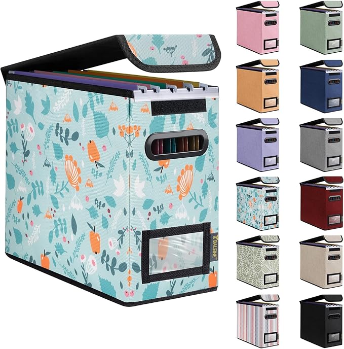 BALEINE File Organizer Box with Lid, Collapsible File Folder Organizer with Plastic Slide, Hanging File Folder Box for Office Document Storage (1 Pack, Spring Stroll, S)