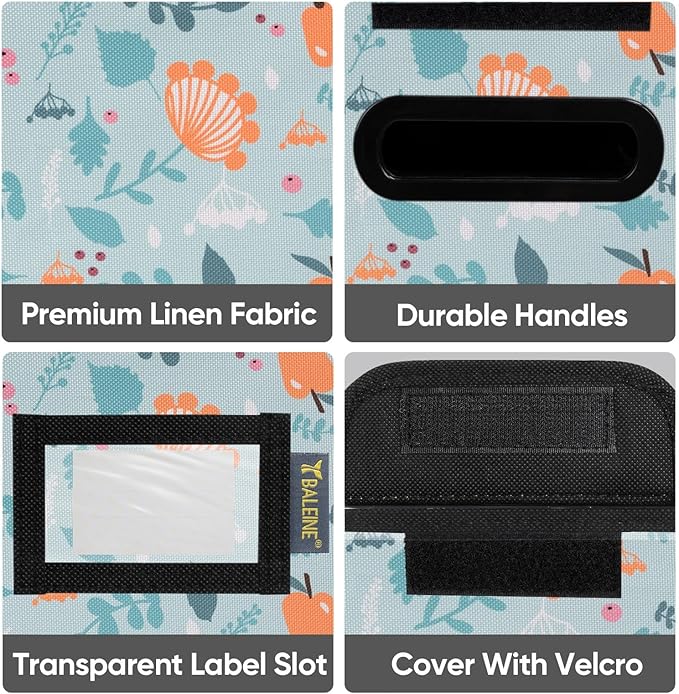 BALEINE File Organizer Box with Lid, Collapsible File Folder Organizer with Plastic Slide, Hanging File Folder Box for Office Document Storage (1 Pack, Spring Stroll, S)