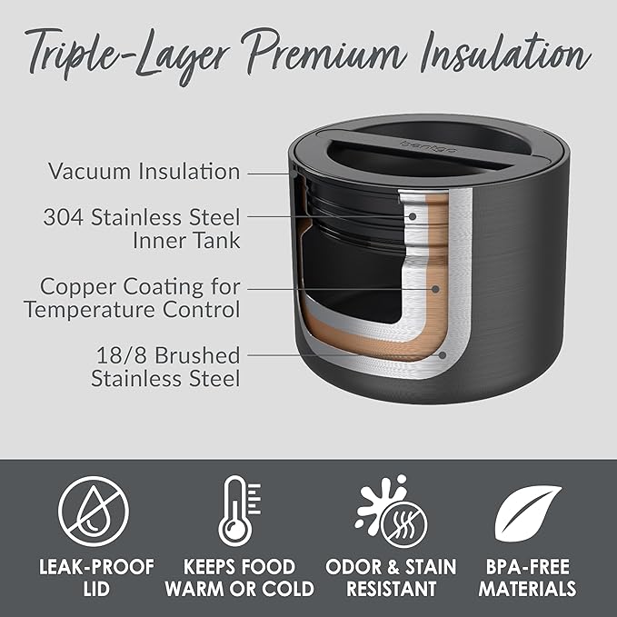 Bentgo Stainless Insulated Food Container - 2.4 Cups (19 oz), Triple-Layer Insulation, Vacuum Seal, Leak-Proof, Built-In Handle, Wide Opening, Premium Stainless Steel, for Cool/Warm Foods (Black)
