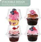 100 Pcs Cupcake Boxes Plastic Individual Cupcake Containers Single Cupcake Carrier with Connected Airtight Dome Lid for Party
