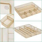 Annova Desk Top Organizer Tray for Office Organization - Metal Mesh - Storage Tray with Dividers for Pens, Desktop Accessories, Bathroom, Kitchen, Makeup and Office Supplies (Large, Gold)